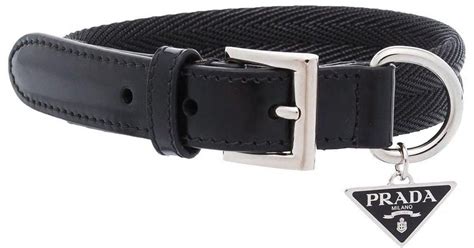 prada dog collar dupe|real designer dog collars.